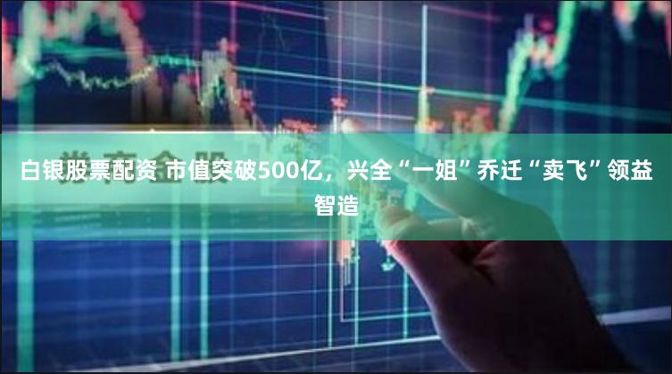 白银股票配资 市值突破500亿，兴全“一姐”乔迁“卖飞”领益智造