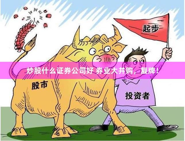 炒股什么证券公司好 券业大并购，复牌！